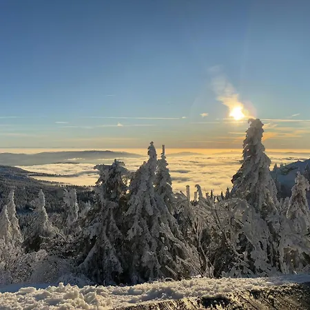 Leithenwald Alpesi faház Zwiesel